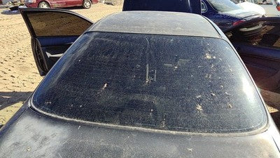 1996-2000 Honda Civic Back Glass Rear Window Oem Coupe 4912762