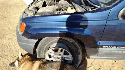 1999-2004 Jeep Grand Cherokee Driver Left Front Fender Oem Blue Pb8 55135901Ac