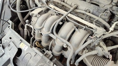 2014-2019 Ford Fiesta Intake Manifold Oem 1.6L Cn1z9424a
