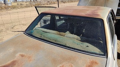 1985-1987 Pontiac Sunbird Back Glass Rear Window 2Dr Oem 20480996