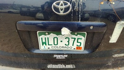 01 Sienna License Plate Trim Surround Panel Oem Tail Trunk Finish Blue 8Q0