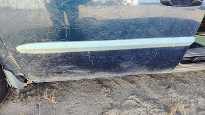 2001-2003 Dodge Caravan Driver Left Front Moulding From Door Oem Trim Strip