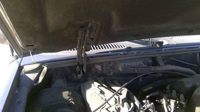 1995-1998 Ford Explorer Passenger Right Hood Hinge Assembly Oem Blue Xl2z16796aa