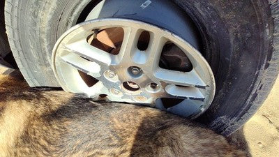 2002-2004 Jeep Grand Cherokee 16 Aluminum Wheel Oem Factory Rim 5 Spoke