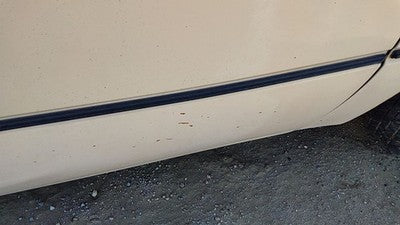 1984 Ford Tempo Passenger Right Front Moulding From Door Oem Trim Strip