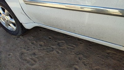 2002-2009 Gmc Envoy Driver Left Lower Rocker Panel Moulding Side Skirt White 50U