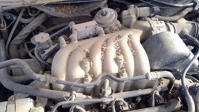 1998-1999 Mercury Sable Upper Intake Manifold Oem 3.0L Ohv F8dz9424aa
