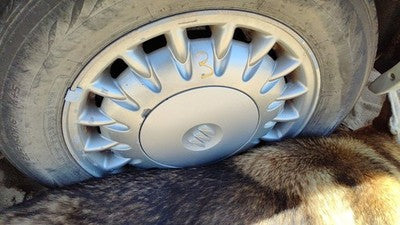 1997-1999 Park Ave Ultra 16' Aluminum Wheel Oem Factory 17 Spoke Rim