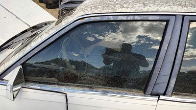 1982-1989 Olds Ciera Driver Left Front Side Window Door Glass Oem 20643722