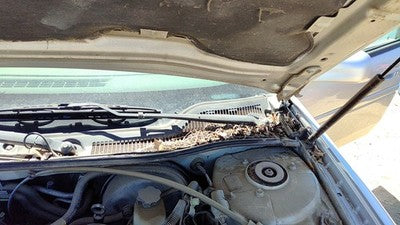 2004-2005 Pontiac Grand Prix Driver Left Windshield Wiper Arm Oem Blade Lever