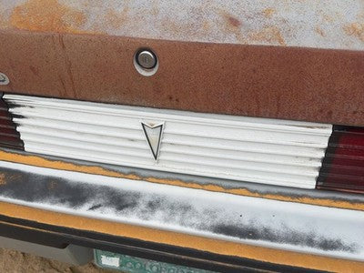 82-84 Pontiac Sunbird License Plate Trim Surround Panel Oem Tail Trunk Finish