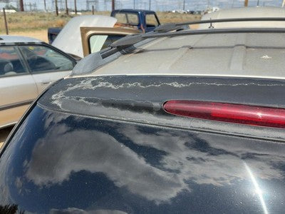 2004 Buick Rainier Rear Spoiler Back Wing Oem
