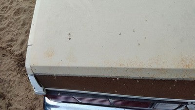 1978-1983 Chevy Malibu Trunk Lid Oem Deck Lid Tan 20264547
