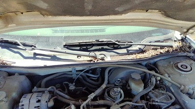 2004 Pontiac Grand Prix Windshield Wiper Cowl Vent Trim Panel Oem Cover