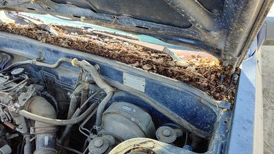 1986 Toyota Camry Driver Left Windshield Wiper Arm Oem Blade Lever