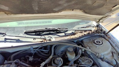 2004 Pontiac Grand Prix Windshield Wiper Cowl Vent Trim Panel Oem Cover