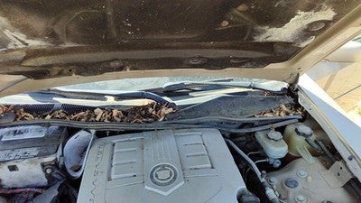 2005 Cadillac Cts Windshield Wiper Cowl Vent Trim Panel Oem Cover