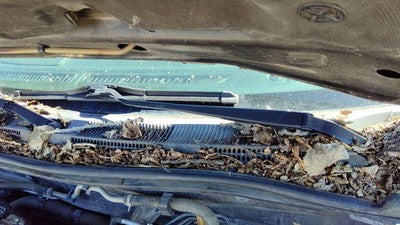 1999-02 Infiniti G20 Driver Left Windshield Wiper Arm Oem Blade Lever 288817j100