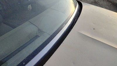 1981 Chevy Malibu Windshield Wiper Cowl Vent Trim Panel Oem Cover 4 Door