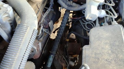1999 Chevy Suburban Lower Intermediate Steering Shaft Oem
