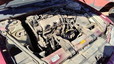 1995-1996 Chevy Lumina Driver Left Rear Strut Assembly With Spring Oem 22064558