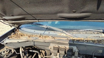 2005-2006 Mazda Tribute Passenger Right Windshield Wiper Arm Oem Blade Lever
