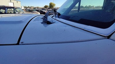 1995 Ford F150 Windshield Wiper Cowl Vent Trim Panel Oem Cover