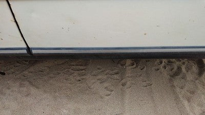 1980 Mercedes 300Td Passenger Right Front Moulding From Door Oem Trim Strip