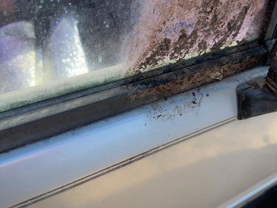 1991 Isuzu Pup Passenger Right Front Belt Moulding From Door Oem