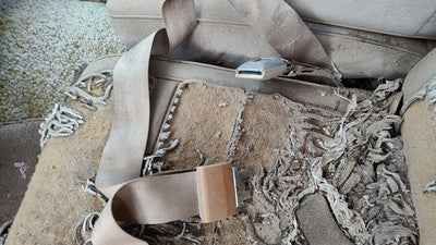 1981 Chevy Malibu Driver Left Front Seat Belt Buckle Receiver Oem Tan 4 Door
