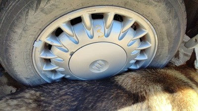 1997-1999 Park Ave Ultra 16' Aluminum Wheel Oem Factory 17 Spoke Rim
