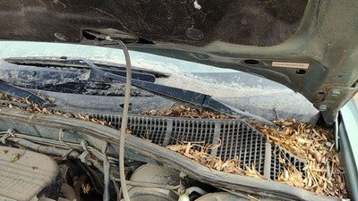 00-04 Legacy Outback Driver Left Windshield Wiper Arm Oem Blade Lever 86532Ae06a