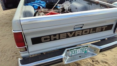 1982-1993 Chevy S10 Pickup Tail Gate Oem Gray 15659105