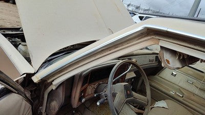 1981 Chevy Malibu Driver Left Drip Moulding Chrome Trim Oem 4 Door