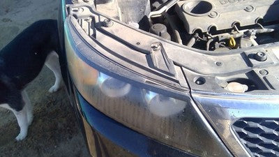2011-2013 Kia Sorento Passenger Right Head Light Oem Front Lamp With Bracket