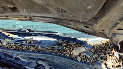 1999-02 Infiniti G20 Driver Left Windshield Wiper Arm Oem Blade Lever 288817j100