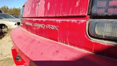 1988-1996 Grand Prix Rear Tail Panel Oem Trim Moulding Strip Red 2 Door 10102989