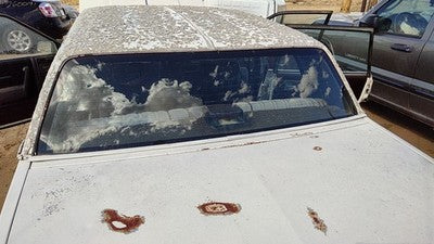 1982-1988 Olds Ciera Back Glass Rear Window Oem 10066827