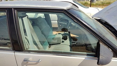 1989-1991 Olds 88 Passenger Right Front Side Window Door Glass Oem 20749624