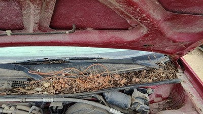 1993-2003 Ford Escort Driver Left Windshield Wiper Arm Oem Blade Lever