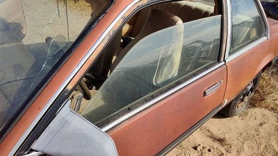 1985-1989 Pontiac Sunbird Driver Left Side Window Door Glass Oem 20157332