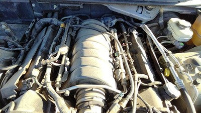 2005-2010 Cadillac Sts Intake Manifold Oem 4.6L 12588847