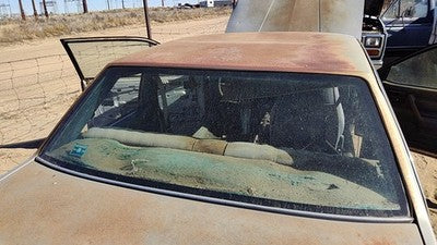 1985-1987 Pontiac Sunbird Back Glass Rear Window 2Dr Oem 20480996