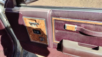 1989 Buick Century Passenger Right Front Inside Door Trim Panel Only Oem Red