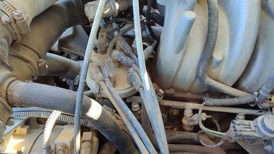 1992-1996 Ford F150 Ignition Distributor Oem 5.0l F2tz12127a