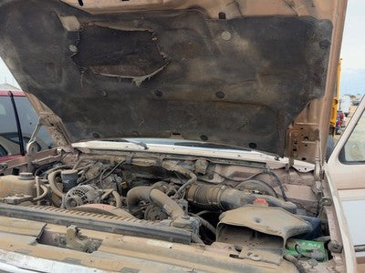 1980-1997 Ford F250 Pair Of Hood Hinges Right Left Set Assembly Oem Tan White Dy
