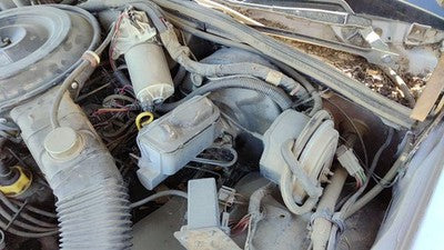 1985 Mercury Grand Marquis Cruise Control Servo Assembly Module With Cable Oem