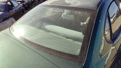 2000-2002 Ford Taurus Back Glass Rear Window Oem Yf1z5442006aa