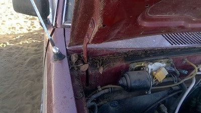 1981-1987 Isuzu Pup Pickup Passenger Right Hood Hinge Assembly Oem Red 94217433