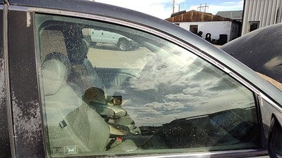 2005-2010 Honda Odyssey Passenger Right Front Side Window Door Glass Oem 7837511